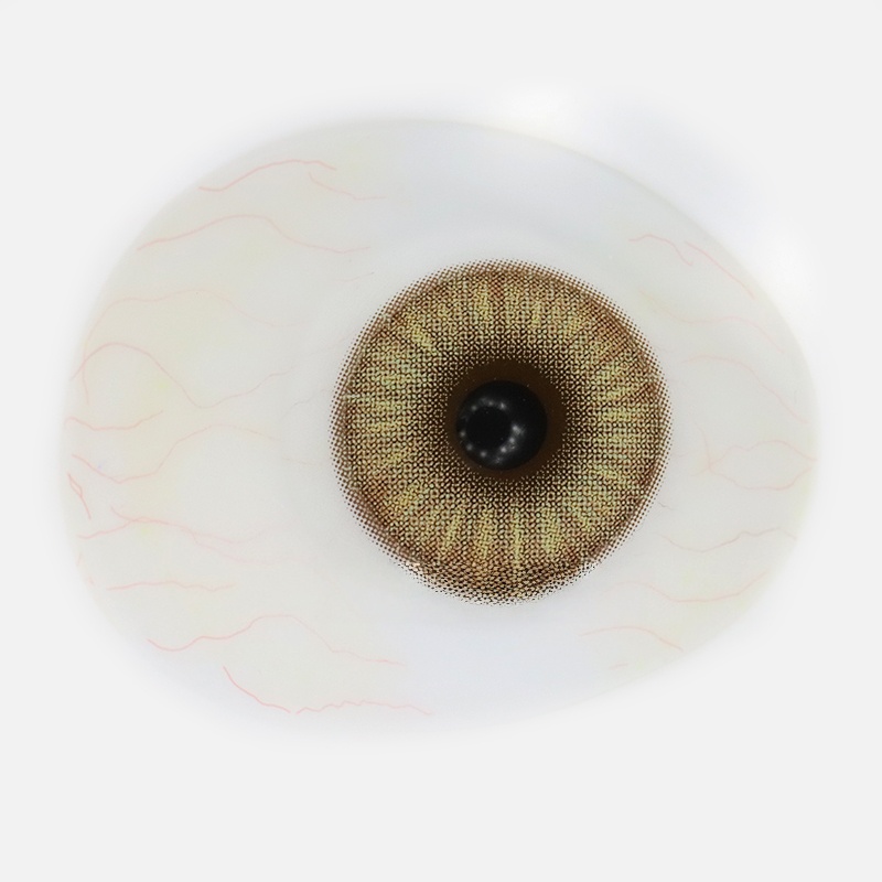 Uniieye Gorgeous Brown Colored Contact Lenses | 1 Year